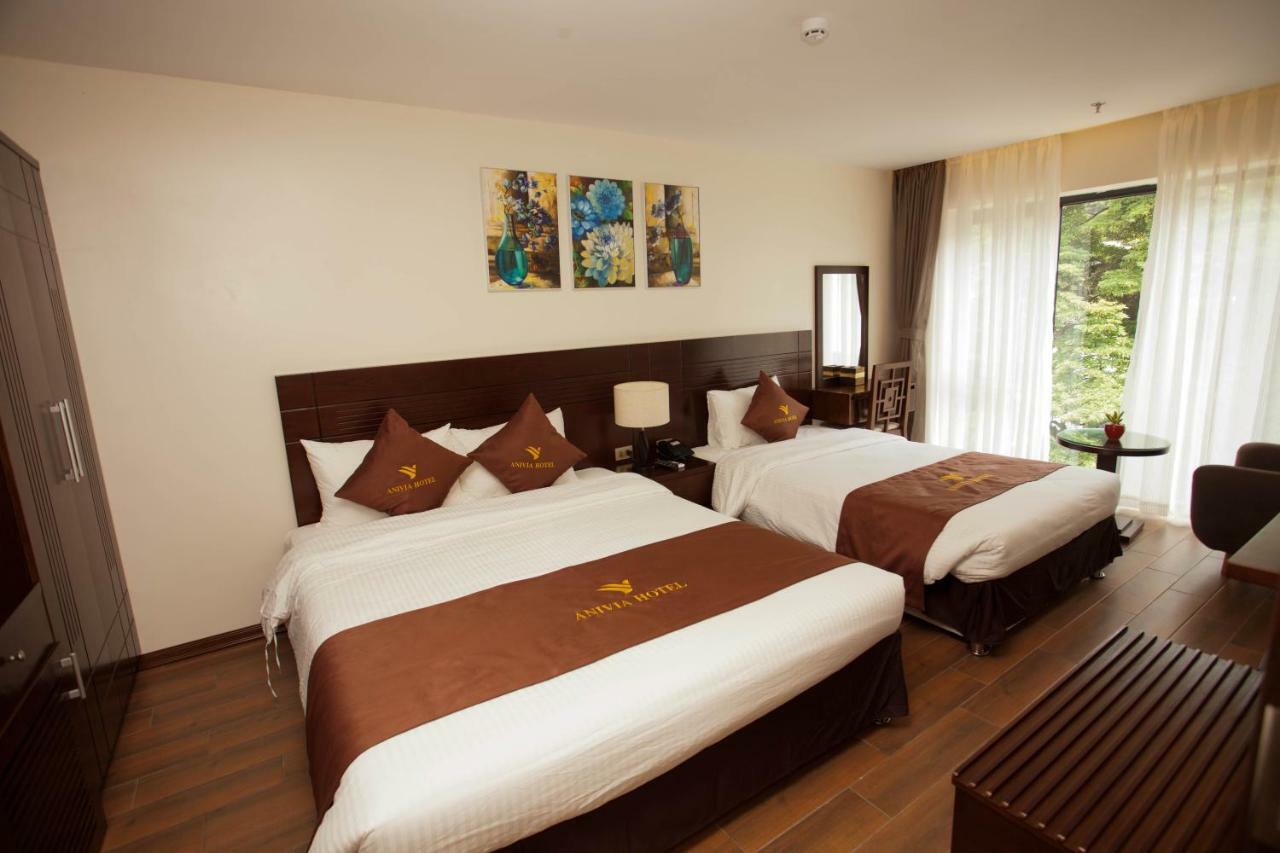 Anivia Tam Dao Hotel Son Dinh Exterior photo